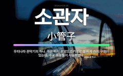 🌟소관자: 우리나라 관악기의 하나. 작은 피리 모양으로 가로로 불며 세 개의 구멍이 있는데, 주로 목동들이... - 표준국어대사전