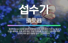 🌟섭수기: 해부학적으로 자극에 대하여 반응하는 구조. 말초 감각 기관이나 말초 신경의 끝부분, 신경 상피 ... - 표준국어대사전