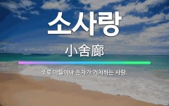 🌟소사랑: 주로 아들이나 손자가 거처하는 사랑. - 표준국어대사전