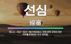 🌟선심: 테니스ㆍ야구ㆍ축구ㆍ배구 따위에서, 선에 관한 규칙의 위반 여부를 판정하는 보조 심판원. - 표준국어대사전