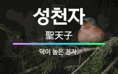 🌟성천자: 덕이 높은 천자. - 표준국어대사전