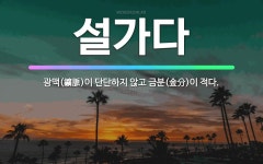 🌟설가다: 광맥(鑛脈)이 단단하지 않고 금분(金分)이 적다. - 표준국어대사전