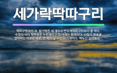 🌟세가락딱따구리: 딱따구릿과의 새. 발가락은 세 개이고 큰오색딱따구리보다 좀 작다. 수컷의 머리 윗부분은 ... - 표준국어대사전