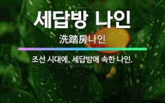 🌟세답방 나인: 조선 시대에, 세답방에 속한 나인. - 표준국어대사전