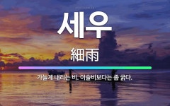 🌟세우: 가늘게 내리는 비. 이슬비보다는 좀 굵다. - 표준국어대사전