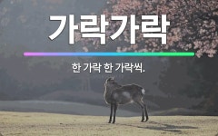 🌟가락가락: 한 가락 한 가락씩. - 표준국어대사전