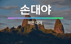 🌟손대야: 작은 대야. - 표준국어대사전