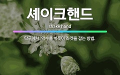 🌟셰이크핸드: 탁구에서, 악수를 하듯이 라켓을 잡는 방법. - 표준국어대사전