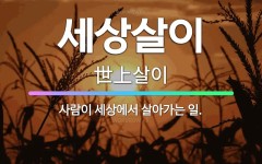 🌟세상살이: 사람이 세상에서 살아가는 일. - 표준국어대사전