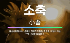 🌟소축: 육십사괘의 하나. 손괘와 건괘가 거듭된 것으로, 바람이 하늘 위에 다님을 상징한다. - 표준국어대사전