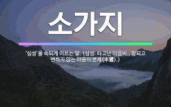 🌟소가지: ‘심성’을 속되게 이르는 말. (심성: 타고난 마음씨., 참되고 변하지 않는 마음의 본체(本體).) - 표준국어대사전