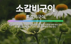 🌟소갈비구이: 고기 없이 채소만으로 갈비구이처럼 만든 음식. 나무토막에 여러 가지 채소를 고명하여 대고, ... - 표준국어대사전