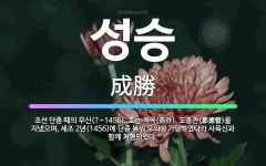 🌟성승: 조선 단종 때의 무신(?~1456). 호는 적곡(赤谷). 도총관(都摠管)을 지냈으며, 세조 2년(... - 표준국어대사전