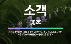 🌟소객: 시인과 문사(文士)를 통틀어 이르는 말. 중국 초나라의 굴원이 지은 에서 나온 ... - 표준국어대사전