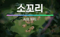 🌟소꼬리: 소의 꼬리. - 표준국어대사전