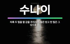 🌟수나이: 피륙 두 필을 짤 감을 주어서 한 필은 받고 한 필은 그 삯으로 줌. - 표준국어대사전