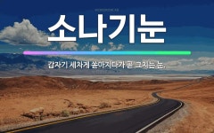 🌟소나기눈: 갑자기 세차게 쏟아지다가 곧 그치는 눈. - 표준국어대사전