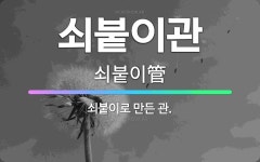 🌟쇠붙이관: 쇠붙이로 만든 관. - 표준국어대사전