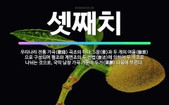 🌟셋째치: 우리나라 전통 가곡(歌曲) 곡조의 하나. 5장(章)과 두 개의 여음(餘音)으로 구성되며 평조와 ... - 표준국어대사전