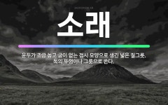 🌟소래: 운두가 조금 높고 굽이 없는 접시 모양으로 생긴 넓은 질그릇. 독의 뚜껑이나 그릇으로 쓴다. - 표준국어대사전