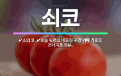 🌟쇠코: 소의 코., 보습 뒷면의 네모진 구멍 위에 가로로 건너지른 부분. - 표준국어대사전