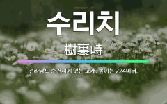 🌟수리치: 전라남도 순천시에 있는 고개. 높이는 224미터. - 표준국어대사전