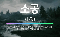 🌟소공: 오복(五服)의 하나. 약간 가는베로 지은 상복이다. 소공친의 상사(喪事)에 다섯 달 동안 입는다. - 표준국어대사전