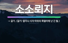🌟소소뢰지: → 갈기. (갈기: 말이나 사자 따위의 목덜미에 난 긴 털.) - 표준국어대사전