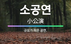 🌟소공연: 규모가 작은 공연. - 표준국어대사전