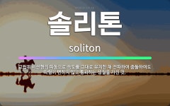 🌟솔리톤: 고립된 비선형의 파동으로 속도를 그대로 유지한 채 전파하여 충돌하여도 파형이 변하지 않고 통과하... - 표준국어대사전