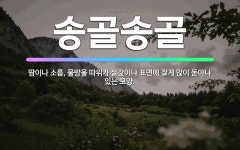 🌟송골송골: 땀이나 소름, 물방울 따위가 살갗이나 표면에 잘게 많이 돋아나 있는 모양. - 표준국어대사전