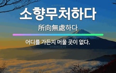 🌟소향무처하다: 어디를 가든지 머물 곳이 없다. - 표준국어대사전