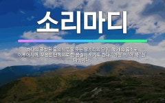 🌟소리마디: 하나의 종합된 음의 느낌을 주는 말소리의 단위. 몇 개의 음소로 이루어지며, 모음은 단독으로 ... - 표준국어대사전