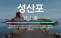 🌟성산포: 제주특별자치도 서귀포시 성산읍에 있는 항구. 여수와 정기 항로가 개설되어 있으며, 농산물과 수산... - 표준국어대사전