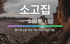 🌟소고집: 몹시 센 고집. 또는 그런 고집이 있는 사람. - 표준국어대사전