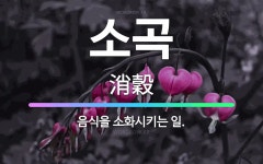 🌟소곡: 음식을 소화시키는 일. - 표준국어대사전