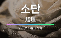 🌟소단: 문인(文人)들의 사회. - 표준국어대사전