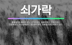 🌟쇠가락: 풍물놀이의 꽹과리 장단. 굿거리장단, 일채굿장단, 이채굿장단, 긴삼채장단, 자진삼채장단, 덩더꿍... - 표준국어대사전