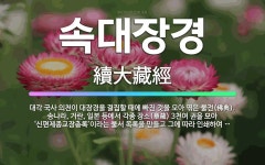 🌟속대장경: 대각 국사 의천이 대장경을 결집할 때에 빠진 것을 모아 엮은 불전(佛典). 송나라, 거란, 일... - 표준국어대사전