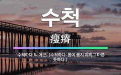 🌟수척: ‘수척하다’의 어근. (수척하다: 몸이 몹시 야위고 마른 듯하다.) - 표준국어대사전