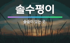 🌟솔수펑이: 솔숲이 있는 곳. - 표준국어대사전