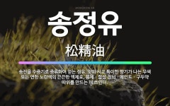 🌟송정유: 송진을 수증기로 증류하여 얻는 정유. 맛이 시고 특이한 향기가 나는 무색 또는 연한 노란색의 끈... - 표준국어대사전
