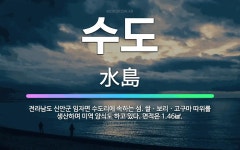 🌟수도: 전라남도 신안군 임자면 수도리에 속하는 섬. 쌀ㆍ보리ㆍ고구마 따위를 생산하며 미역 양식도 하고 있... - 표준국어대사전