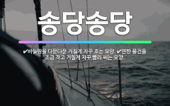 🌟송당송당: 연한 물건을 조금 작고 거칠게 자꾸 빨리 써는 모양., 바늘땀을 다문다문 거칠게 자꾸 호는 모양. - 표준국어대사전