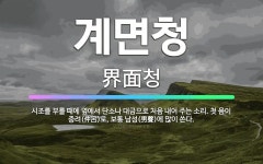 🌟계면청: 시조를 부를 때에 옆에서 단소나 대금으로 처음 내어 주는 소리. 첫 음이 중려(仲呂)로, 보통 ... - 표준국어대사전
