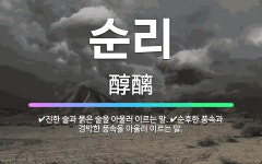 🌟순리: 진한 술과 묽은 술을 아울러 이르는 말., 순후한 풍속과 경박한 풍속을 아울러 이르는 말. - 표준국어대사전