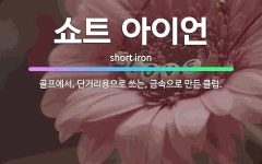 🌟쇼트 아이언: 골프에서, 단거리용으로 쓰는, 금속으로 만든 클럽. - 표준국어대사전