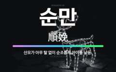 🌟순만: 산모가 아무 탈 없이 순조롭게 아이를 낳음. - 표준국어대사전