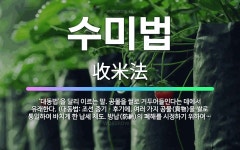 🌟수미법: ‘대동법’을 달리 이르는 말. 공물을 쌀로 거두어들인다는 데에서 유래한다. (대동법: 조선 중기... - 표준국어대사전