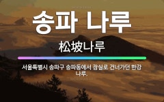 🌟송파 나루: 서울특별시 송파구 송파동에서 잠실로 건너가던 한강 나루. - 표준국어대사전